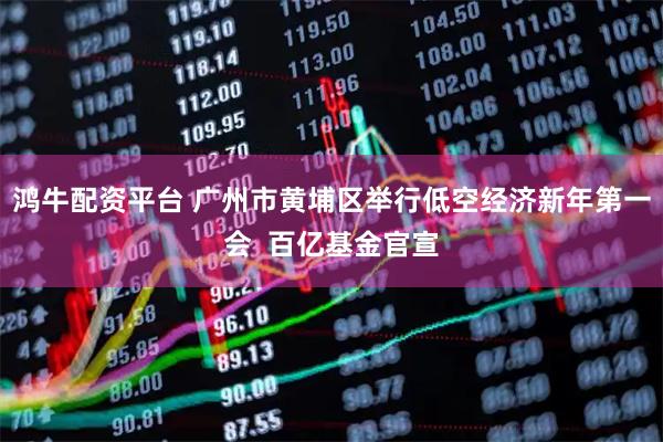 鸿牛配资平台 广州市黄埔区举行低空经济新年第一会  百亿基金官宣