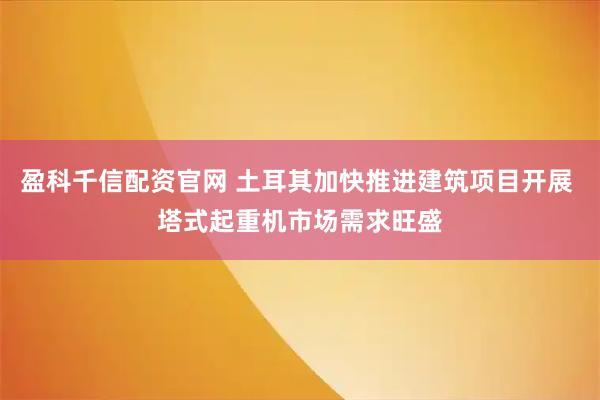 盈科千信配资官网 土耳其加快推进建筑项目开展 塔式起重机市场需求旺盛